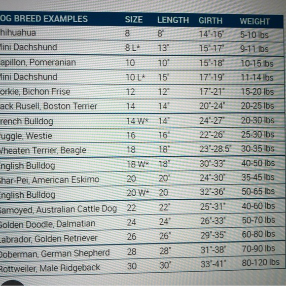 RC Venture Outerwear Dog Coat - NWT - Lime   Size 20 - Great colour for walking - Picture 8 of 9